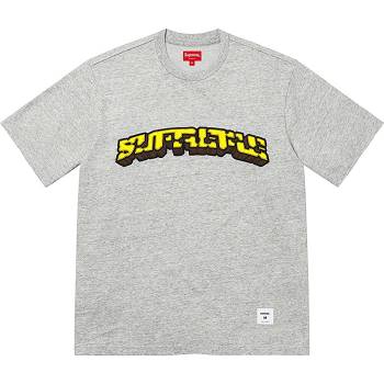 Supreme Block Arc S/S Top Gensere Grå | NO265LH